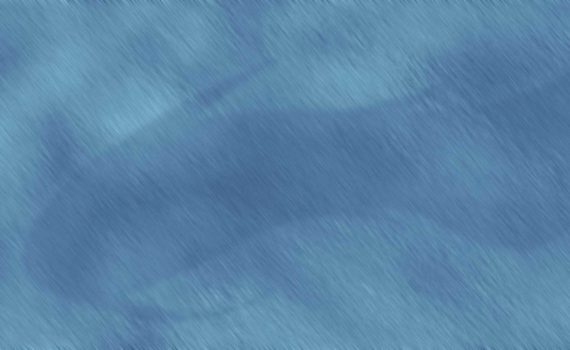 Aegirmeri - Biografia